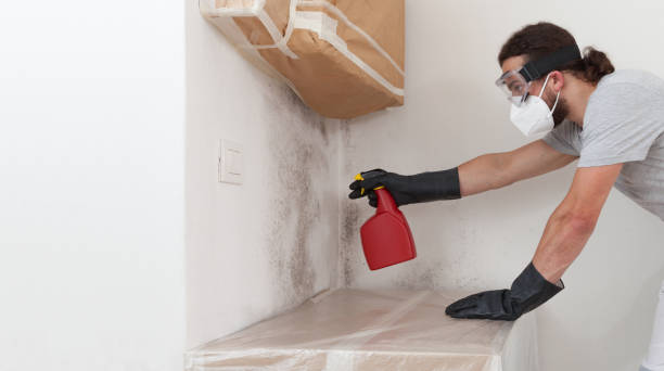 Professional Black Mold Remediation technician working in Garner, NC