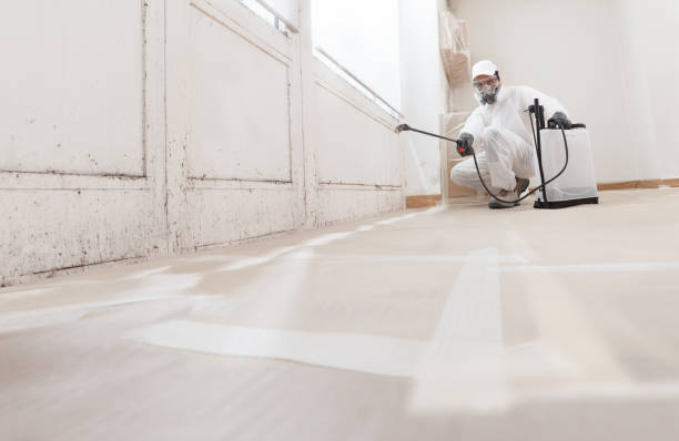 24/7 Emergency Black Mold Remediation experts in Garner, NC
