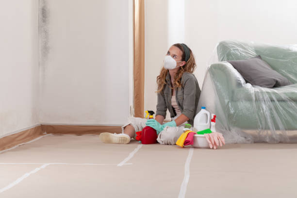 Reliable Black Mold Remediation contractor in Garner, NC by Car Mold Remediation